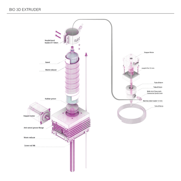 Trinity_Diagram_02-09